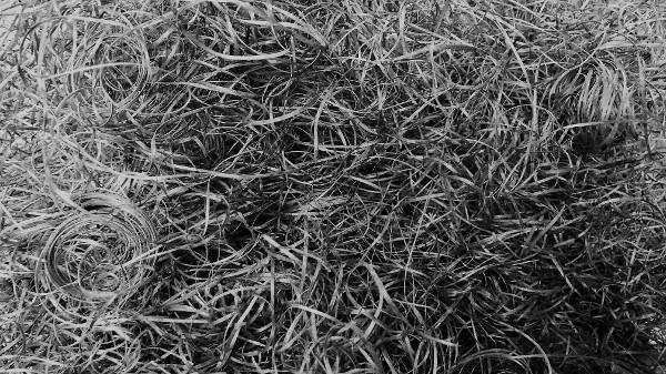 Aspen Excelsior Moss Gray 1/32“ width